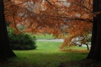 Torino : I giardini al Valentino
