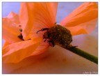 esercizi del corpo e dell'anima