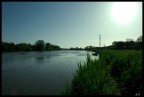 Arno