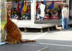 Street scattata al luna park