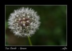 ....soffia