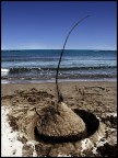 Creativit Infantile