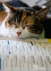 Milos &amp; l'informatica......