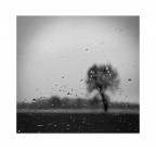 Uggioso #2