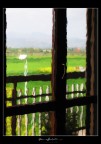 La finestra