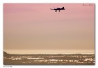Free to Fly