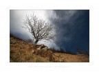 Passing Cloud