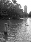 Londra, Hyde Park.

Ho usato la Canon PowerShot A610.

Consigli e critiche, come sempre, ben accetti!