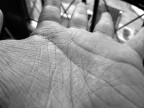 Hand lines