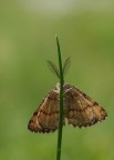 asse di simmetria