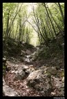 BOCCA DI VALLE
