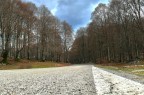monte livata