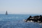Napoli: riva fiorita