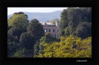 immerso..nel verde