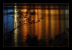 Questo  il mio primo scatto notturno.  una prova per ricevere critiche e migliorare.
Son importanti le critiche che mi farete. Grazie gi da ora.
Le luci sono quelle di Campione d'Italia riflesse nel lago...

t 10s
f 5.6
ISO 100
Nikon D60 con Nikkor 18-55mm e cavalletto