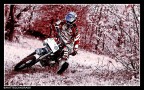 PitBikeRaw