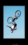 Free Ride Part II