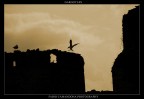 GARGOYLES