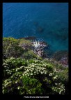Giardino sul Mare