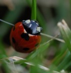 Equilibrio instabile Equilibrio instabile