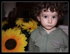 Un ritratto, vicino a dei girasoli! :P