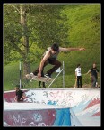 skatter