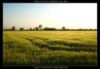 sognando di correrci dentro