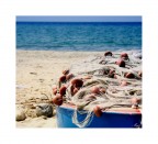 Icolori del mare3