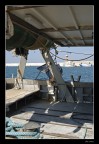 Vita di mare