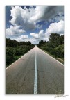 Lonesone Road