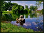 riflessi sul lago
