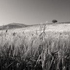 Paesaggio