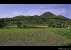 Paesaggio Estense
