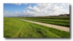 campagna livornese