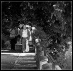 Il Passo