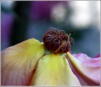 Quando la passione finisce ........