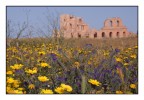 citt romana di sabratha sulla costa ettentrionale della Libia