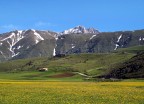 E' la mia terra E' la mia terra