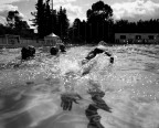 Un sabato mattina durante un allenamento alla piscina Comunale di Palermo