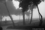 nebbia in bn...?