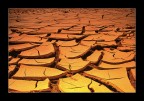 the earth's skin