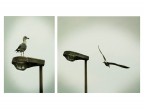 storia di un volo
