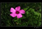 For You...