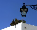Mediterraneit
