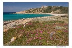 Un'altra immagine scattata durante il ponte del 1 maggio in Gallura.

Suggerimenti e critiche ben accetti