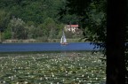 Colori del lago 2