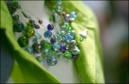 . bejeweled .