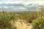 Spiaggia di marina di Vecchiano con le Alpi apuane sullo sfondo.