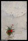 sconfiggere l'uomo