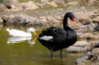 Un'oasi di pace dove si respira il profumo della natura.